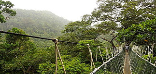 Cameron Highland